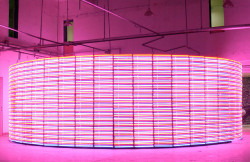 plizm:  DCF neon-wall by iwishicoulddescribeittoyoubetter on Flickr.