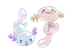 shadow-dio-sama:  wooper is my favorite pokemon