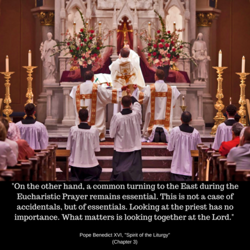 lesbiantrad:inflammateomnia:Happy 10th anniversary of “Summorum Pontificum!”“What matters together i