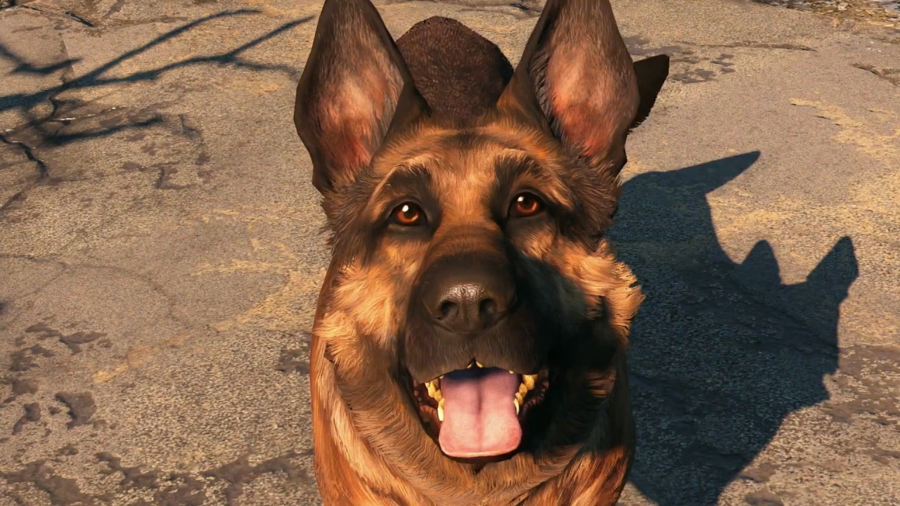 sodomymcscurvylegs:  Get a load of that dog! 