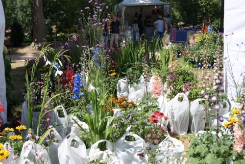 pla-a-nt - 07.07.2018, garden fair with my mom!