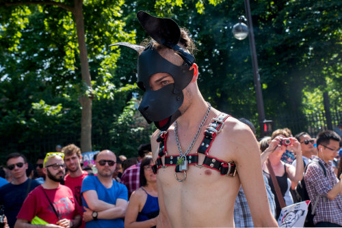 yrreug:  renzokuon:  Had a blast at Gaypride in Paris 2015, second time I pup’ed out in public