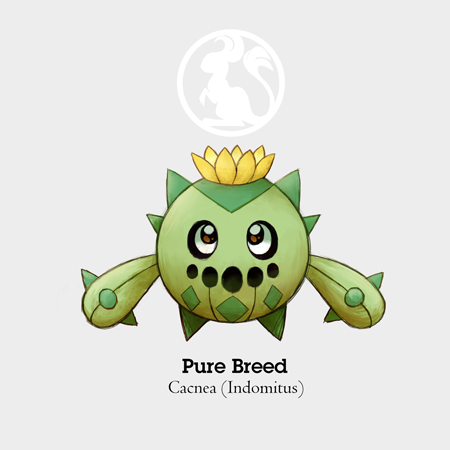 eleanart-approved:  Cacnea Variations/SubspeciesWhen I finally figured that the little