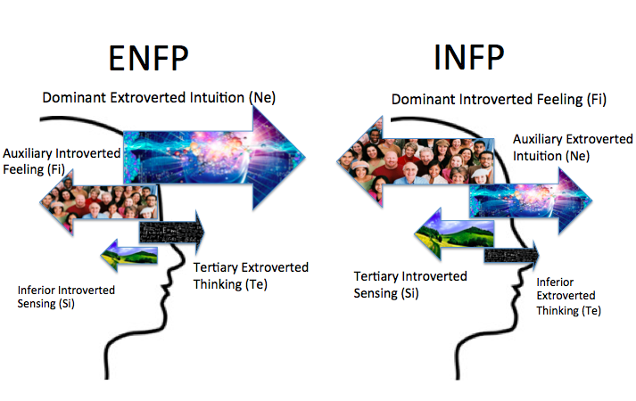 Mbti Database Infp And Istp Compatibility Relationships And