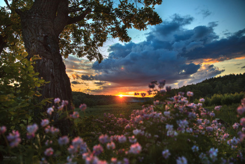 Nature, Part Two. 