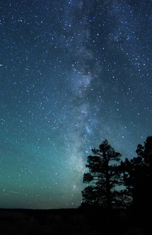seasonsofserendipity:Stargazing in Utah