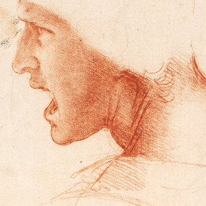 vivalcli:Moodboard: Leonardo da Vinci’s sketches