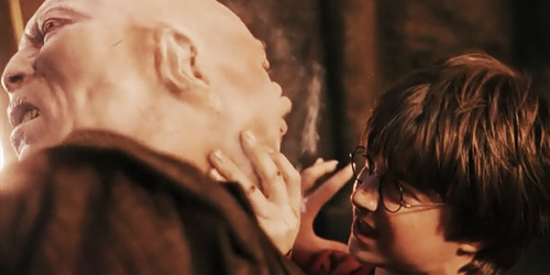hpstuffs:  Harry Potter vs. Voldemort 