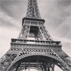 here’s more Eiffel Tower pictures. Because