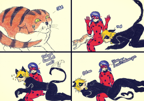 heizuha:When your C(h)at is jealous  (=^・^=)  