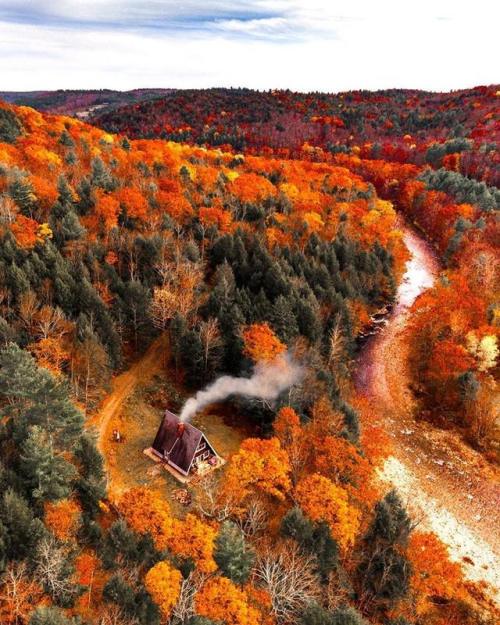 autumnfoxe: sixpenceee: Forest cabin in Massachusetts Photo: @kylefinndempsey on IG
