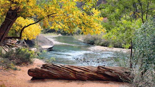 a place to rest; zion national park, utahmore on instagram & twitter