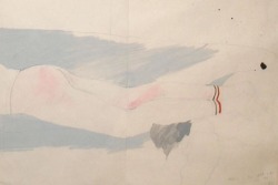 gluteus maximus