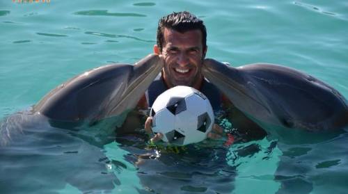 DOLPHIN KISSES! 😘 🐬 