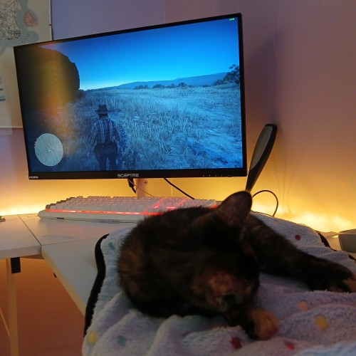 My New Best Friend Is Accompanying Me While I Play Rdr2.