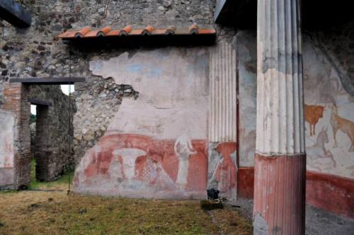 colin-vian:  Pompei mai vista