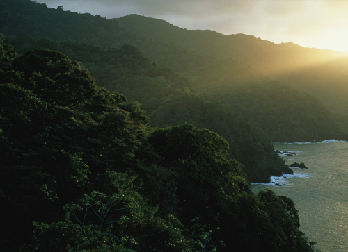 mistaren:Trinidad and Tobago &lt;3These are actually some great shots…I feel a tad of National pride