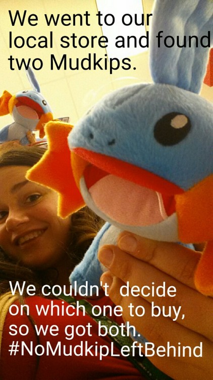 acerotiburon: #NoMudkipLeftBehind bought 2 Mudkip. Took them on a trip.