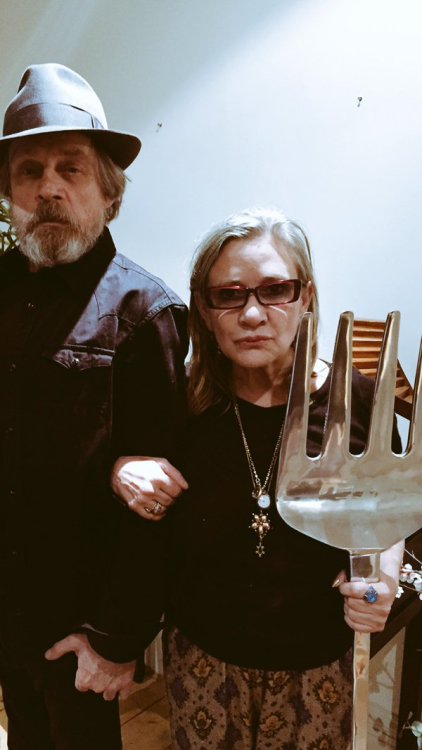 lukemara: carrieffisher The fork surrounds you, binds you, &amp; feeds you…. HamillHimsel