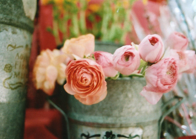 englishsnow:  by shoko      