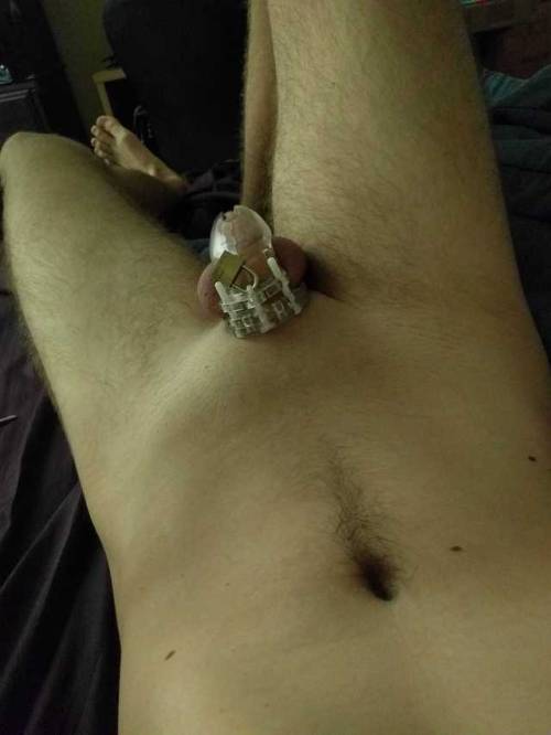 stldiaperboy:Good morning Tumblr
