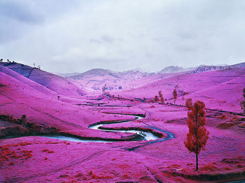 ehosk:  Richard Mosse - The Enclave (2012) From HUH. Magazine: “…shot using discontinued military surveillance film formerly used to identify camouflaged targets. Mosse and his team spent three years in eastern Congo to shoot the unsettling series,