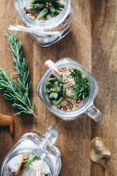 confectionerybliss:  Gingerbread Terrariums | Molly Yeh 
