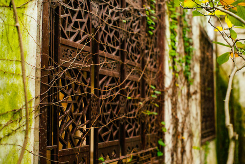 Windows, Humble Administrator’s GardenSuzhou, JiangsuChina