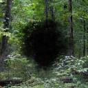 starplatinumnun:can you infodump to me? (i love you) is this overwhelming? (i love