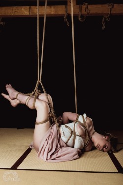 riggerodys:  Partially twisted with evelyn_sinclair_artistry(IG) Kinbaku: me(IG) Photo: feroxisaurus. Lighting: @windshear-fet