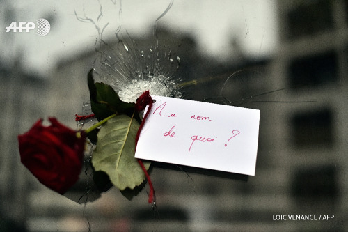 afp-photo:  FRANCE, Paris : A rose with a sign reading ‘In the name of what?’ is  pictured in a bullet hole in the window of a Japanese restaurant next to  the cafe ‘La Belle Equipe’, Rue de Charonne, in Paris on November 14,  2015, following