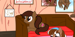 ask-dizzylollipop:  new ponies eh? WELL THIS