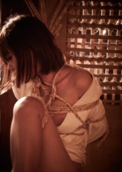 japanesebdsmofficial:  Shibari Kinoko HajimeModel