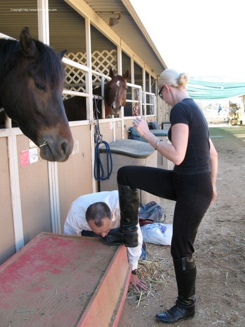 This lucky slave worked his way up to stable boy. . You should have seen his previous job. . 