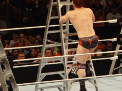 otherluces:  Sheamus (for ladyiaga)