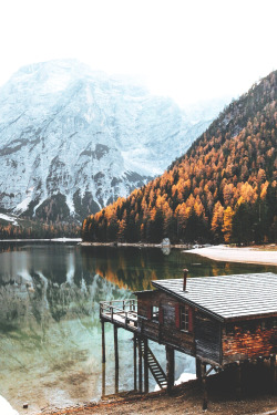 tryintoxpress:  Fall - Photographer ¦ Lifestyle