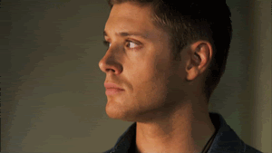 queen-annabeth-winchester:  bowtiesarecool4:  winchestler:  in nine seasons of supernatural sam and dean have been sick with a lot of weird shit but theyve never had the regular flu     Now I want an episode where Sam and Dean have the flu and they’re