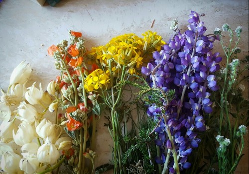 geo-fairy: Picked some wild flowers today and yucca buds and some wild grass. I’m hanging them up to