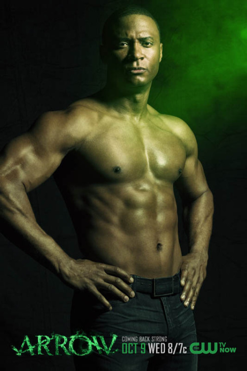 One of the most popular images in “Arrow” season one was series star Stephen Amell showing off his abs with his shirt off. In the same vein, the CW has released a series of four posters that not only show Amell shirtless, but also co-stars