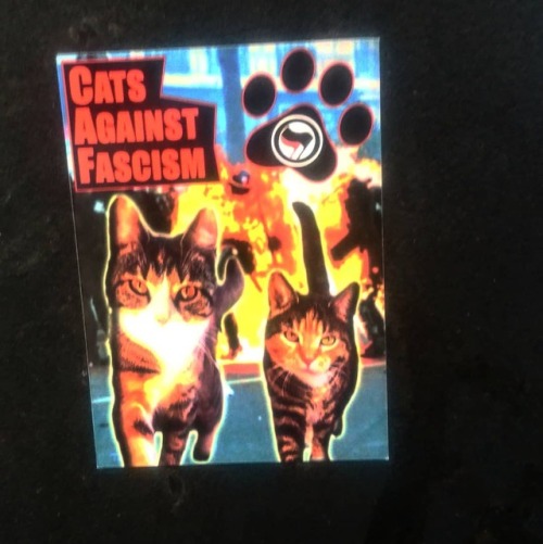 Antifascist stickers seen around Stockholm