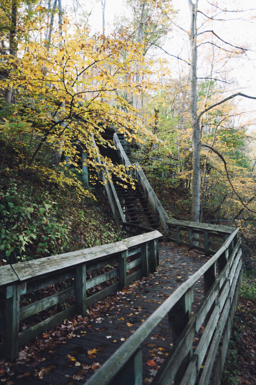geardoctors: Ohio