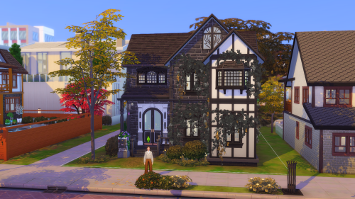 Dark academia house, for my dark academia sim ~ Madison ~ Interior shots coming soon!wcif friendly!