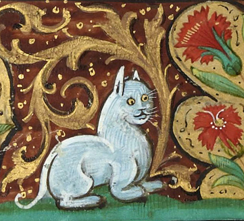 discardingimages:white catbook of hours, France after 1500Bibliothèque de l’Arsenal, Ms 654, fol. 5r