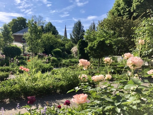 Landscapes of Literature: Henry Wadsworth LongfellowTucked away in a pleasant, residential neighborh