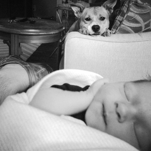 Sweet Dreams
