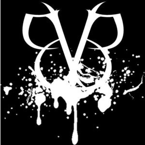rebelsnevergivein:  reblog if you listen to any of these bands