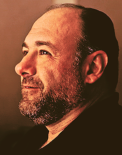 glamorncruelty-blog:  RIP James Gandolfini 1961 - 2013 James Gandolfini, whose portrayal of a brutal, emotionally delicate mob boss in HBO’s The Sopranos helped create one of TV’s greatest drama series and turned the mobster stereotype on its head,