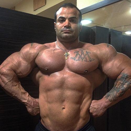 myfavoritemusclemen:  Hesam Aliakbar