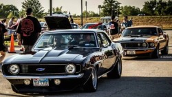 Muscle Cars Fans