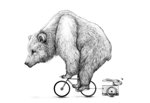 fer1972:  Illustrations by Amy Dover